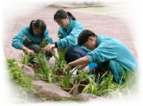 園藝學程
