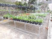 7-2活動植床，開新視窗